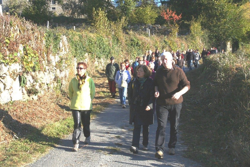 37 Promenade chemin fête de la vielleweb